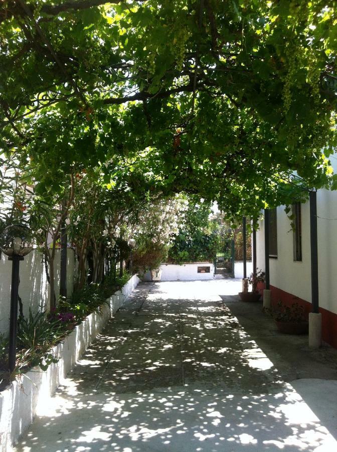 Casa Vacanze Paestum - Cilento Buitenkant foto
